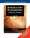 Introductory econometrics