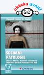 Sociální patologie