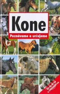 Kone