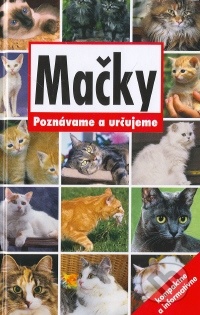 Mačky