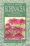 Echinacea - třapatka