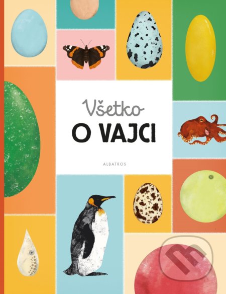 Všetko o vajci