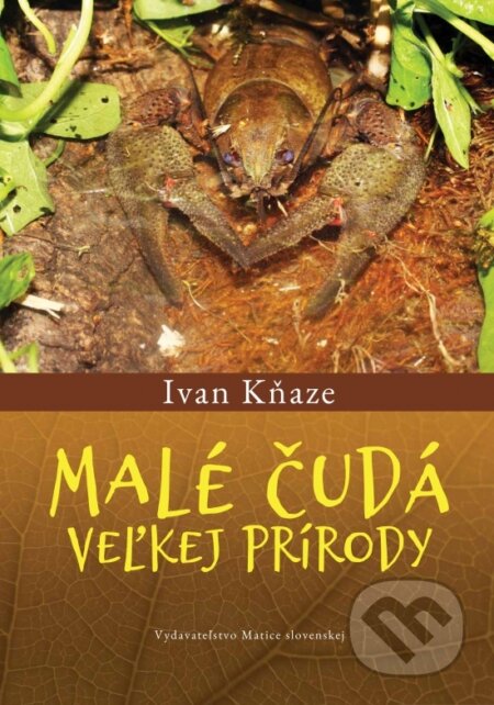 Malé čudá veľkej prírody