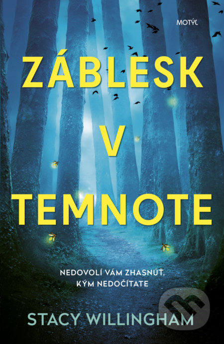 Záblesk v temnote