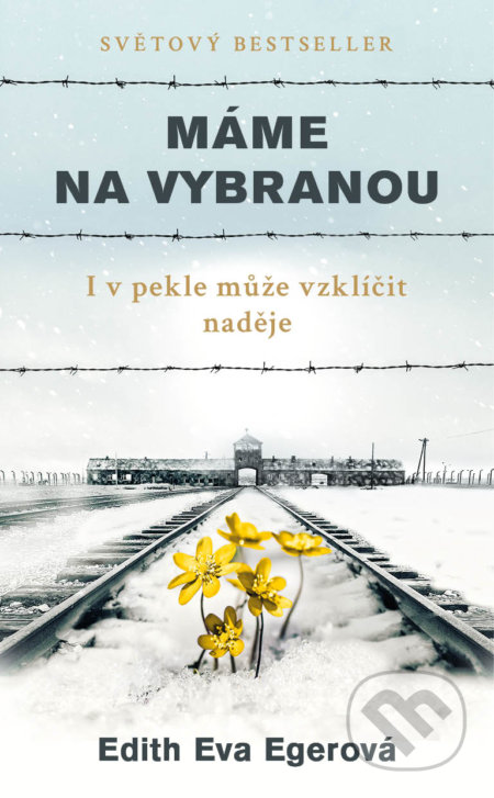 Máme na vybranou