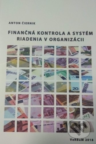 Finančná kontrola a systém riadenia v organizácii