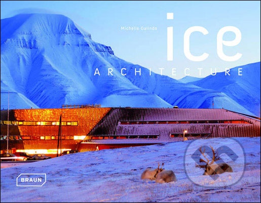 ICE architecture