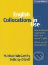 English collocations in use