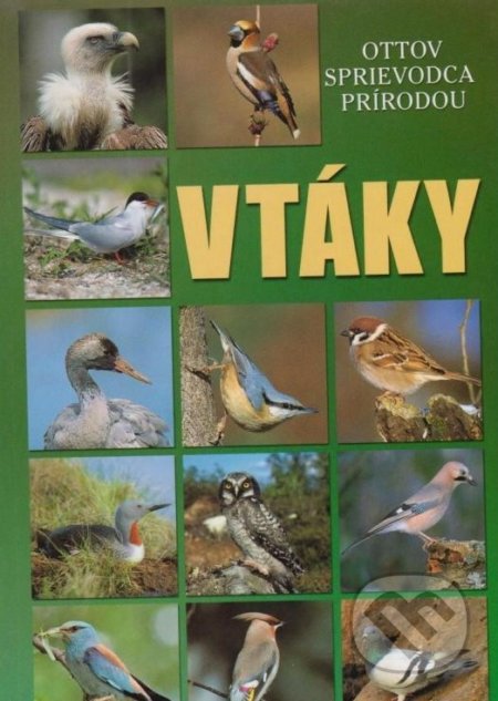 Vtáky