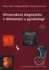 Ultrazvuková diagnostika v těhotenství a gynekologii