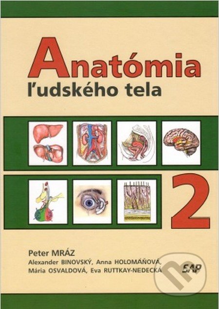 Anatómia ľudského tela