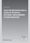Selected methodological issues in technical efficiency measurement of bank branches