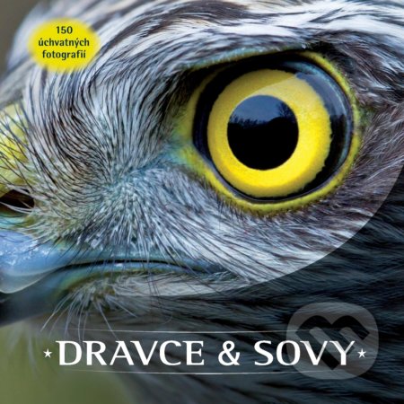 Dravce & sovy