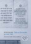 Židia na Slovensku po roku 1945 : komunita medzi vierou a realitou