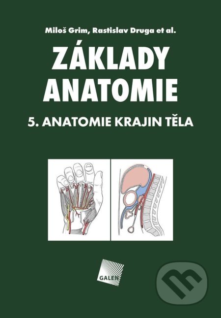 Základy anatomie