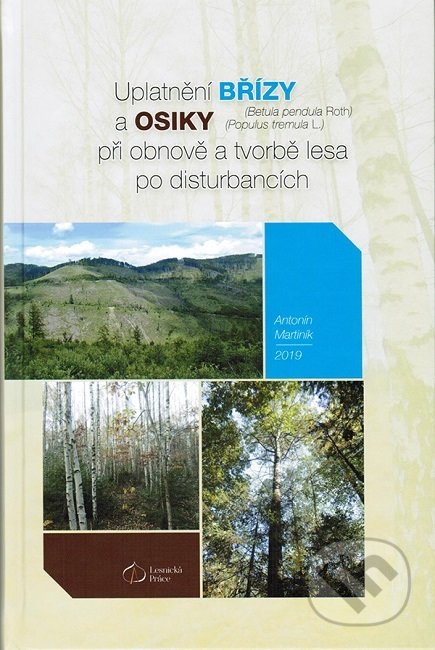 Uplatnění břízy (Betula pendula Roth.) a osiky (Populus tremula L.) při obnově a tvorbě lesa po disturbancích