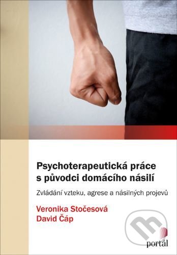 Psychoterapeutická práce s původci domácího násilí