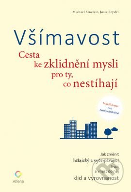 Všímavost