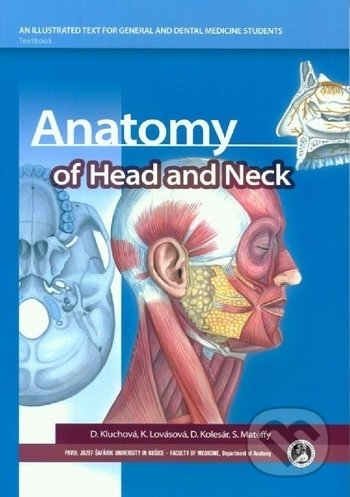 Anatomy of head and neck