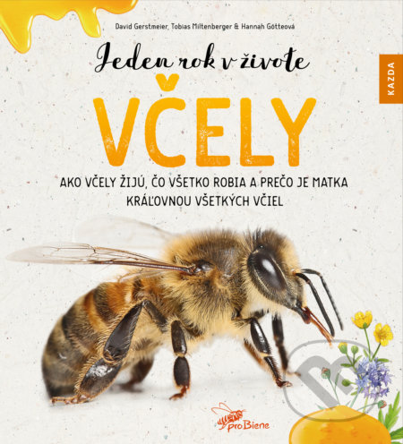 Jeden rok v živote včely