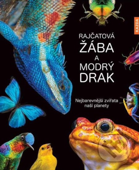 Rajčatová žába a modrý drak