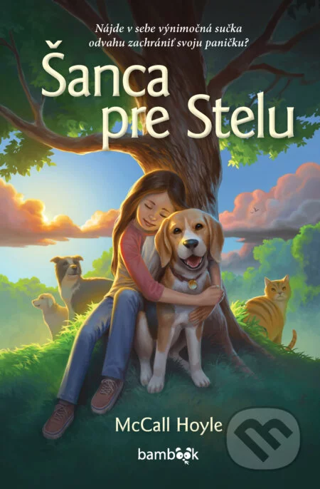 Šanca pre Stelu