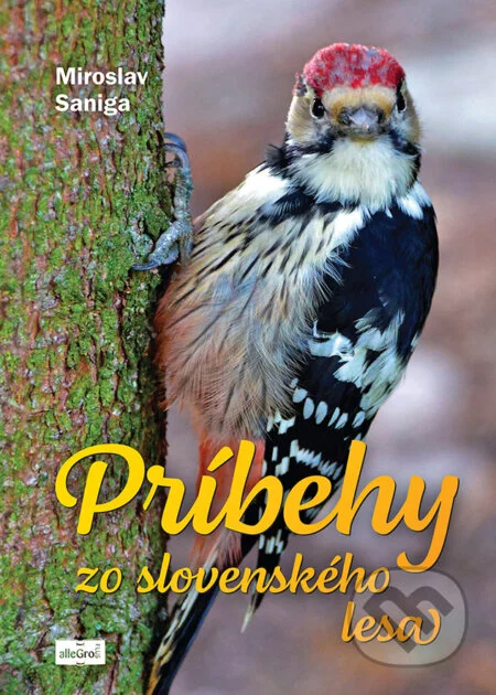 Príbehy zo slovenského lesa