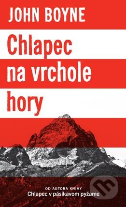 Chlapec na vrchole hory