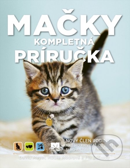 Mačky