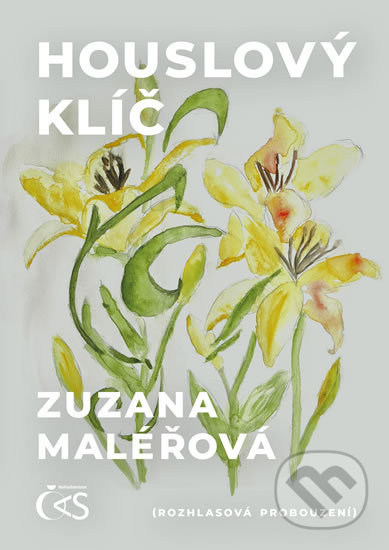 Houslový klíč